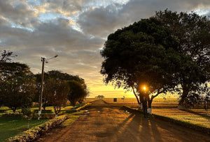 Family Tradition in Brazil