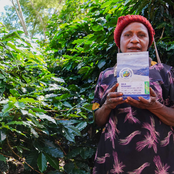 Kula Peaberry - Papua New Guinea Light-Medium Roast Relationship Coffee