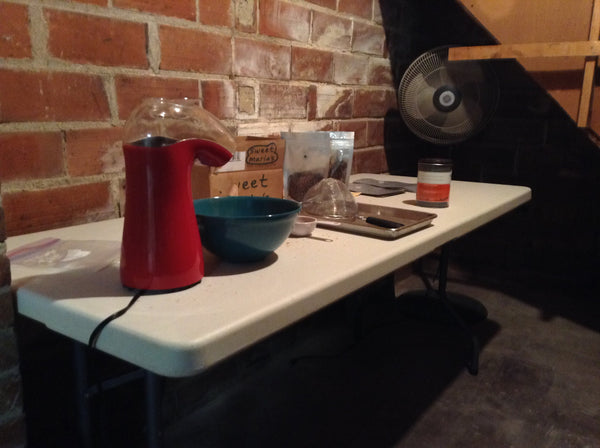 RSR at 10: The Early Days