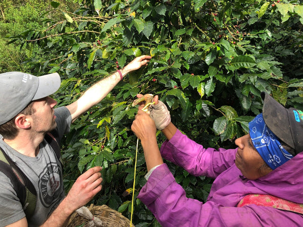 RSR at 10: Loving your coffee neighbors