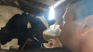 Check out Farmer Derek milking a cow for his Moolatte