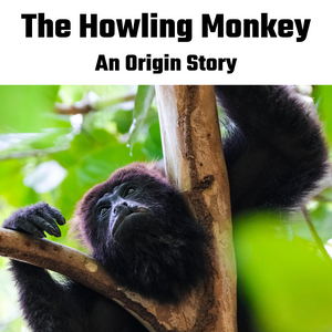 New Monkey on the Block: The Howling Monkey