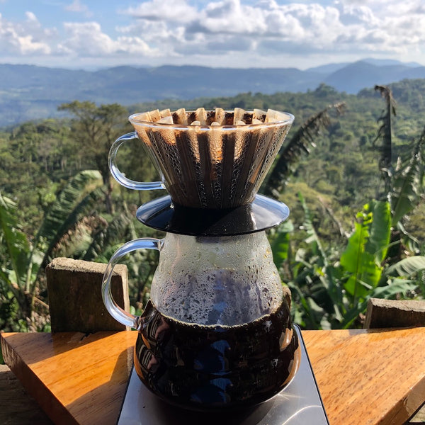 Gold Mountain Sample Flight - 3 Direct Relationship Nicaraguan Coffees